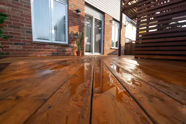 A freshly stained wooden deck and fence